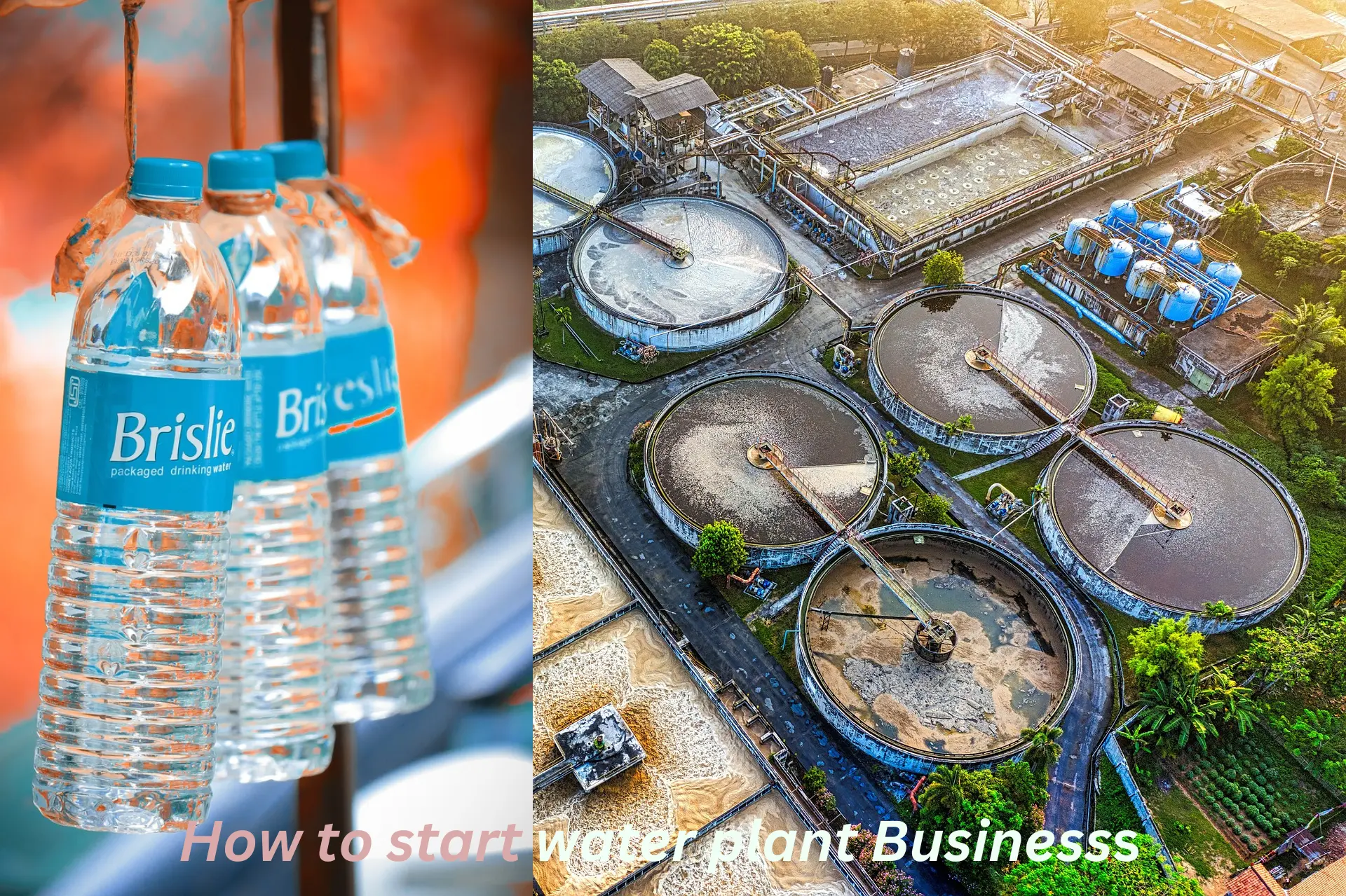 water plant business